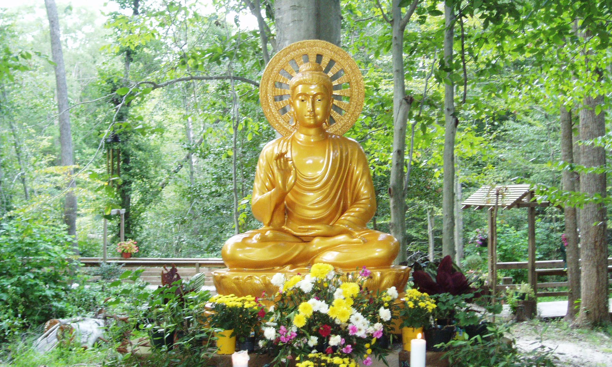 Dhamma Land