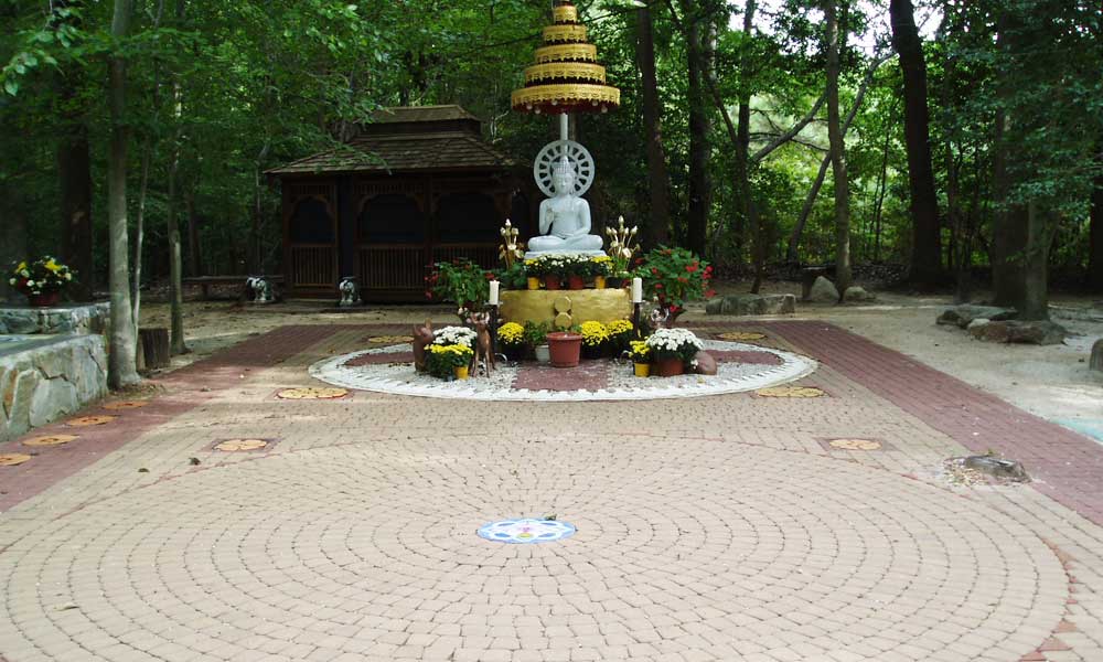 Buddha Land